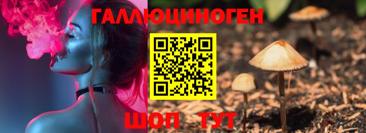 Тулун  Псилоцибиновые грибы мухоморы  Вход с VPN 